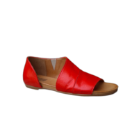 ALLEGRA_RED_ZONDER.png